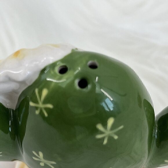 Cactus Cacti Blossom Salt and Pepper Shaker Set Green White Brown - Picture 7 of 9